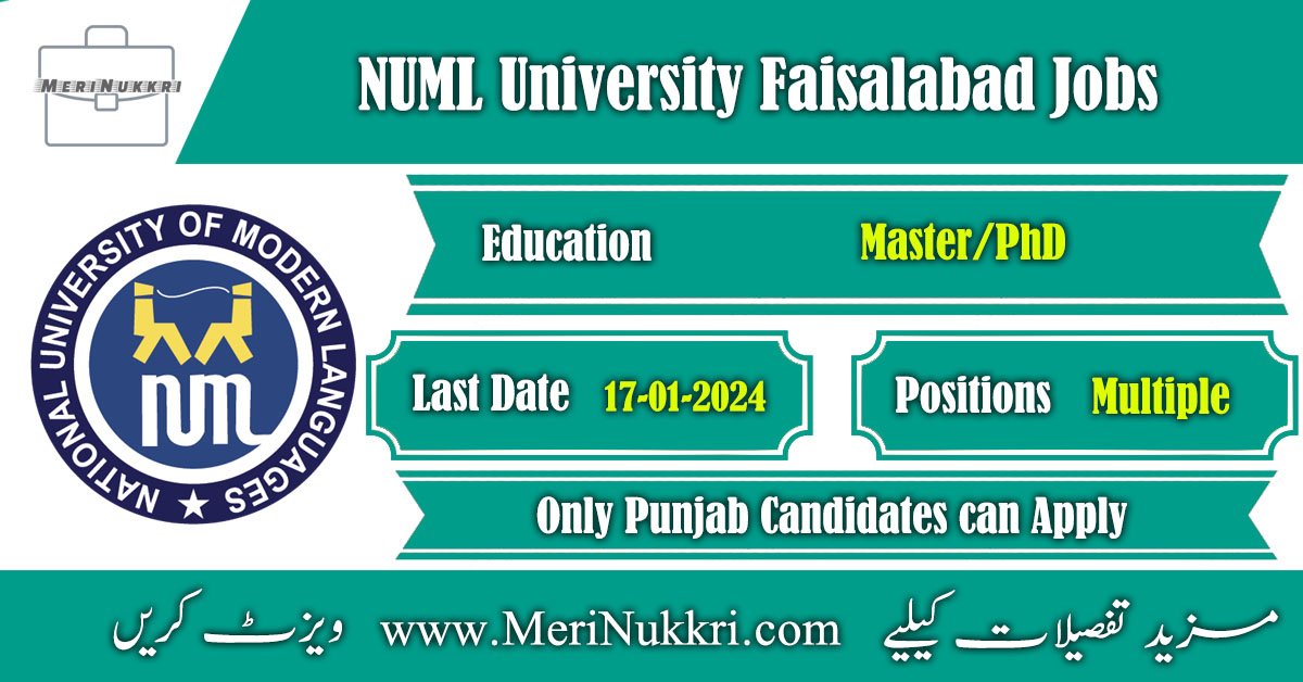 NUML University Faisalabad Jobs 2024