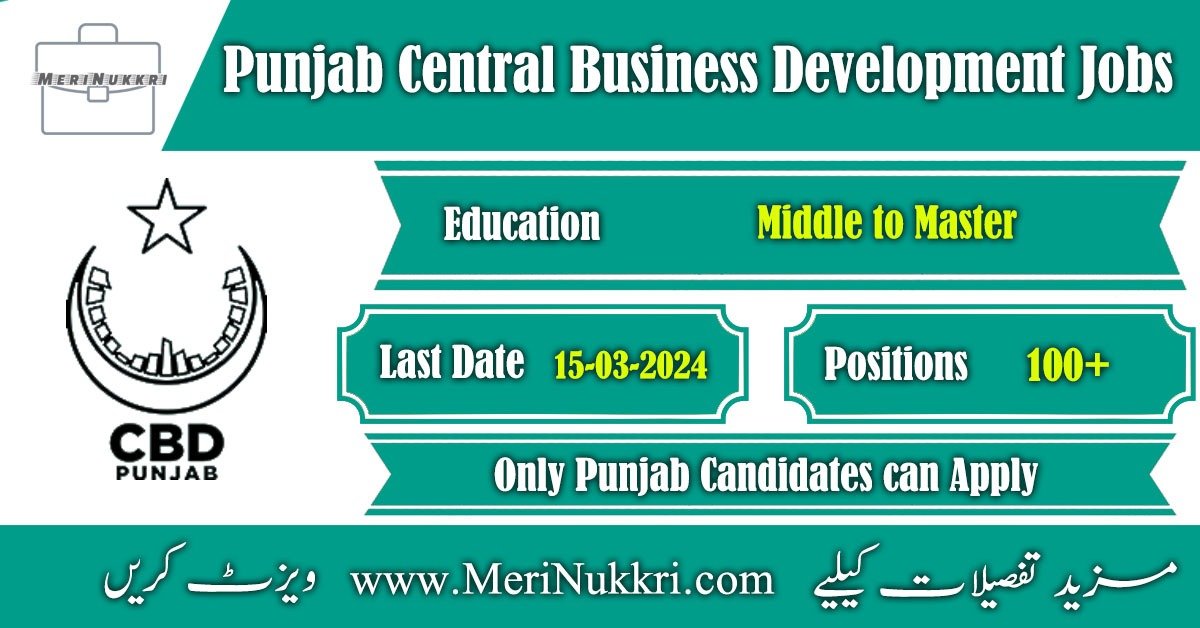 Punjab Central Business Development Jobs